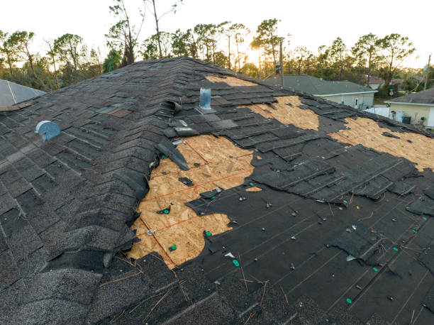 Best Roof Insulation Installation  in Shaw Heights, CO